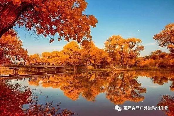 无忧国际wy6999